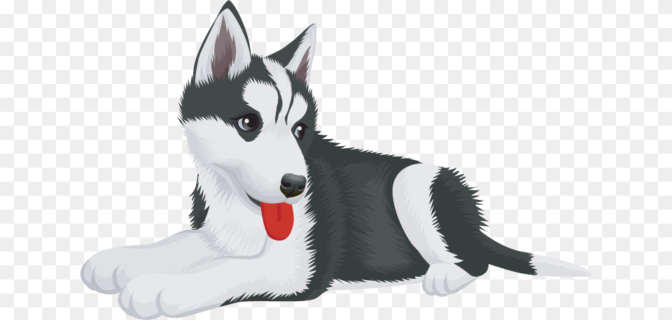 Husky Puppy, Animal, Canine, Dog, Mammal Free Png