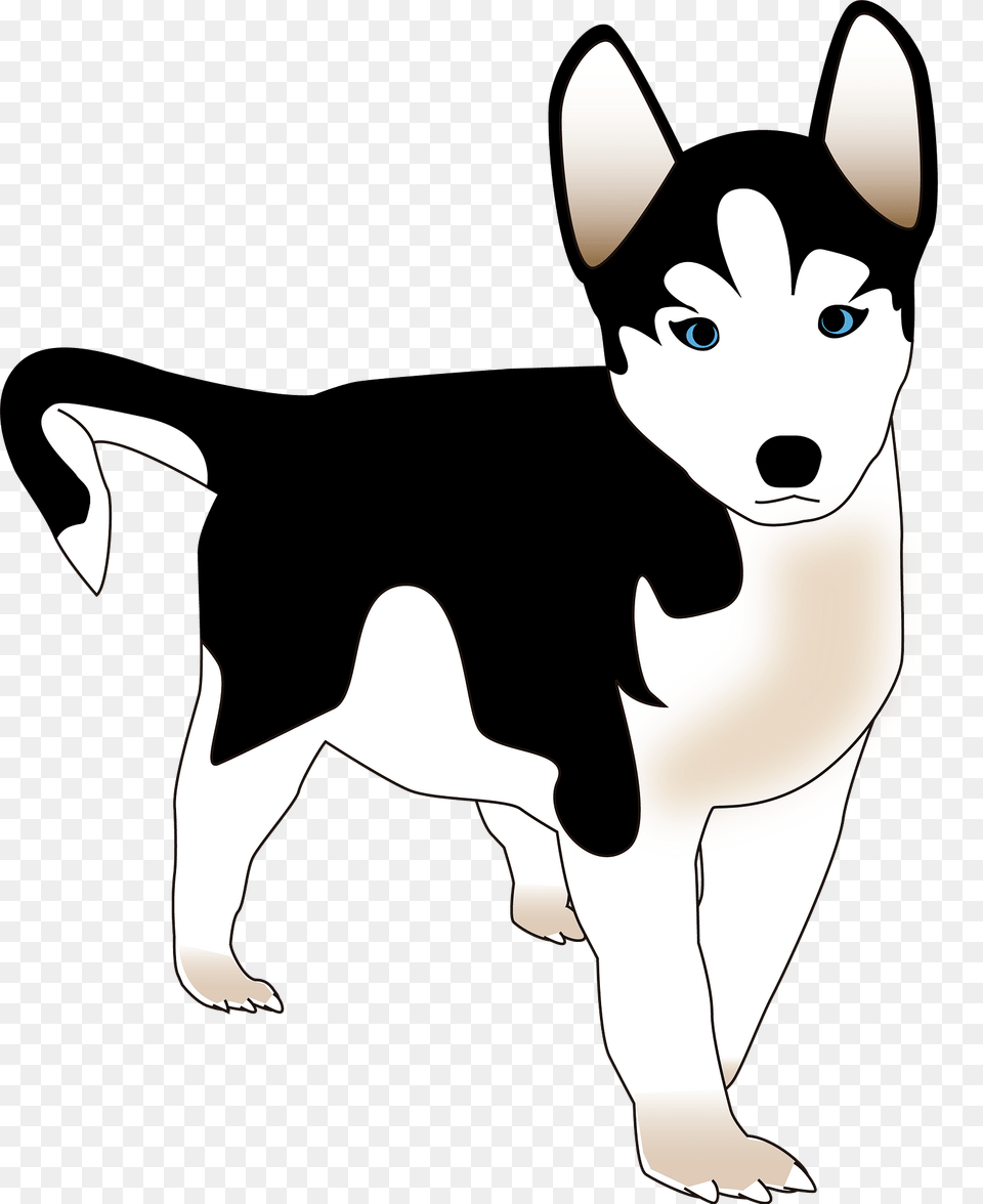 Husky Puppy Clipart, Animal, Mammal, Dog, Canine Png