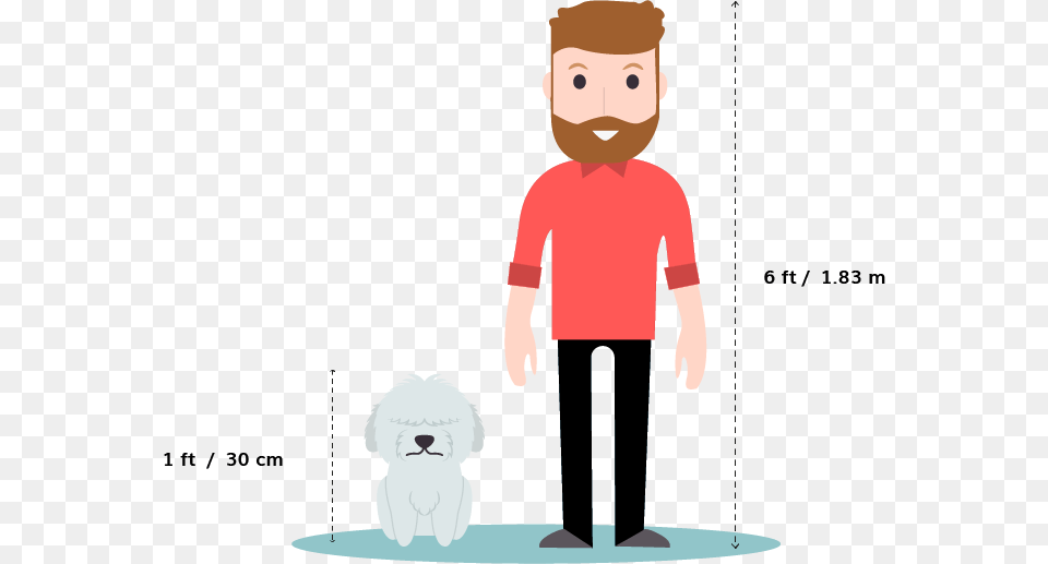 Husky Size Comparison, Boy, Child, Person, Male Png Image