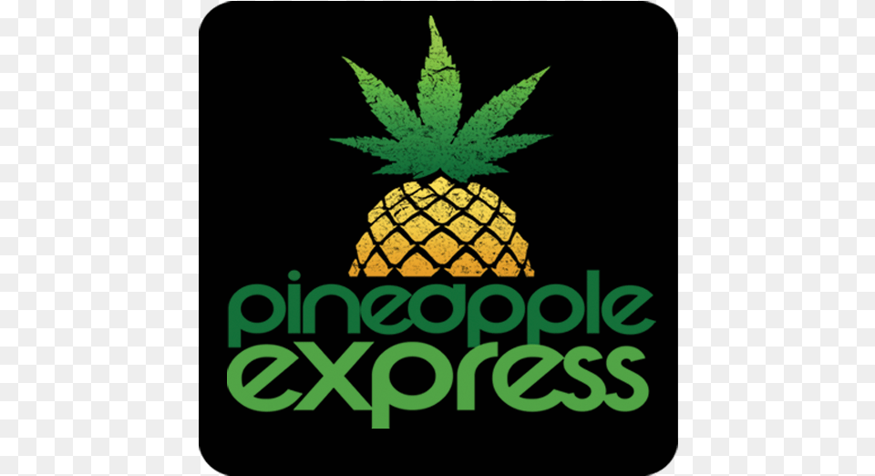 Hustler Theresa Flynt Pineapple Express Pineapple, Food, Fruit, Plant, Produce Free Transparent Png
