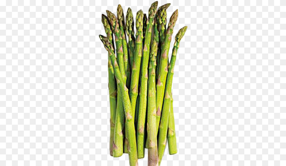 Hy Asparagus, Food, Plant, Produce, Vegetable Free Png