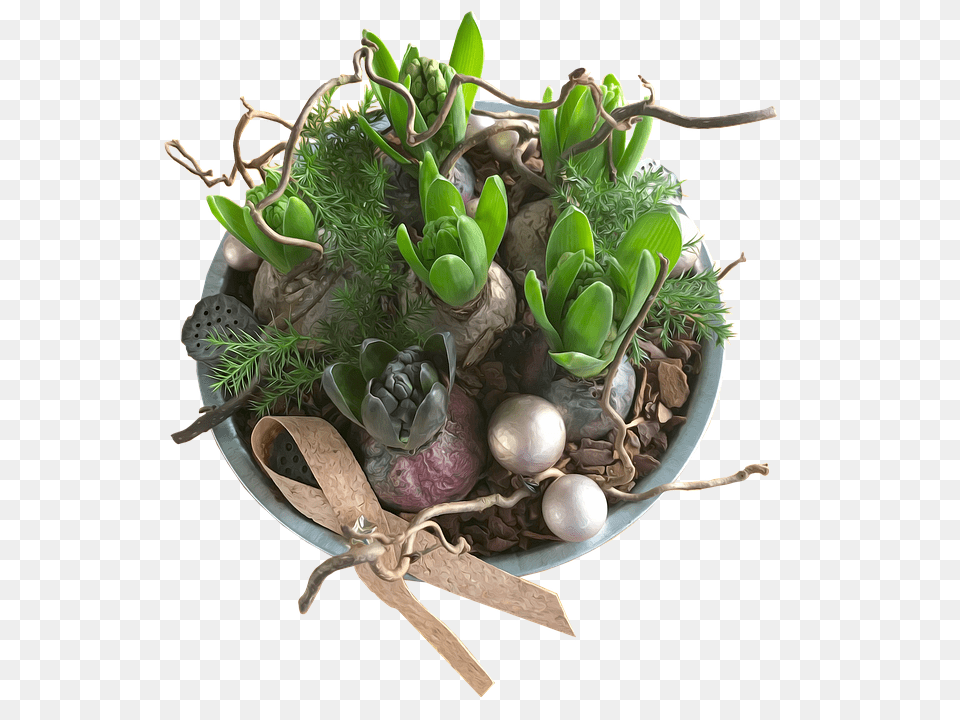 Hyacinths Potted Plant, Plant, Vase, Pottery Png
