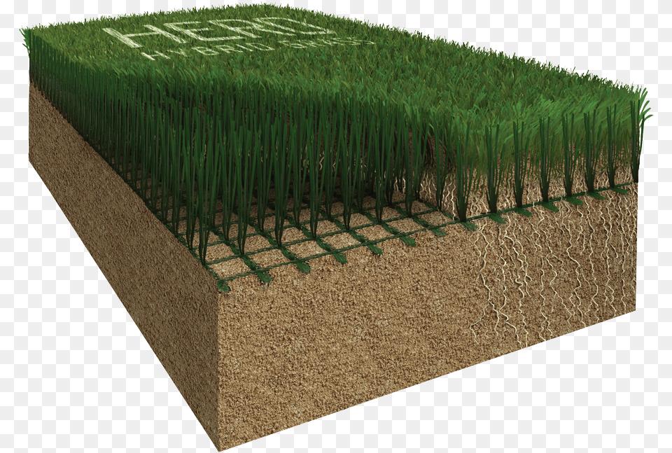 Hybrid Grass, Planter, Jar, Vase, Plant Free Png Download