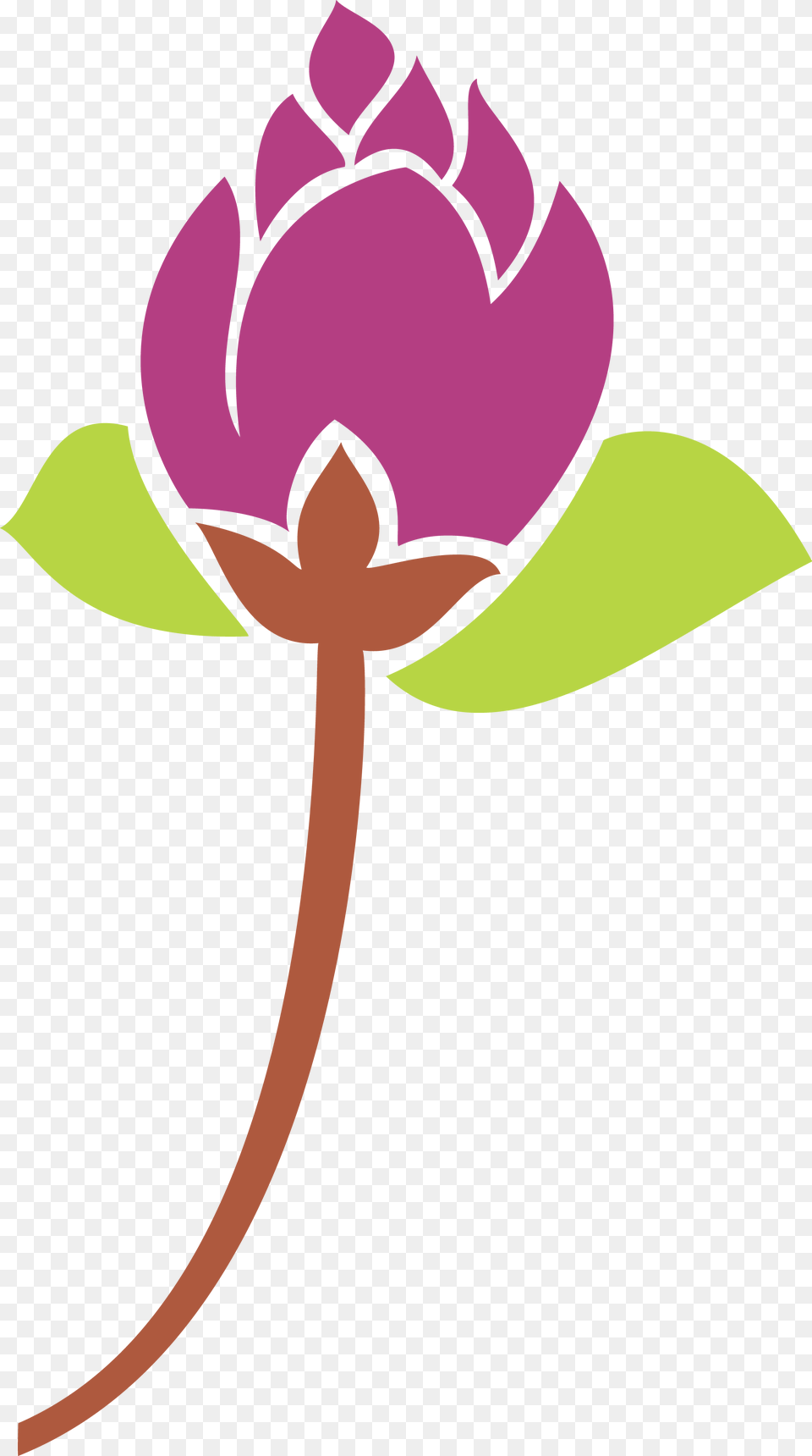 Hybrid Tea Rose, Flower, Plant, Dahlia, Petal Free Png Download