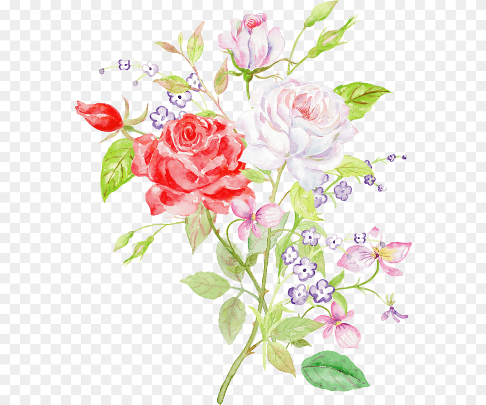 Hybrid Tea Rose, Art, Plant, Pattern, Graphics Free Png Download