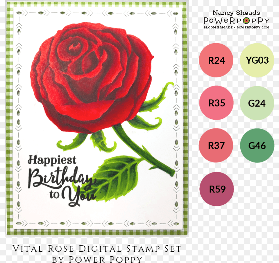 Hybrid Tea Rose, Flower, Plant, Envelope, Greeting Card Free Png Download