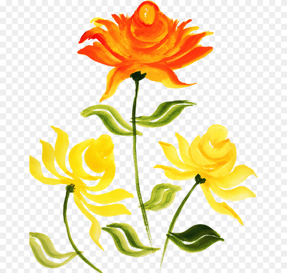 Hybrid Tea Rose, Dahlia, Plant, Flower, Petal Free Png Download