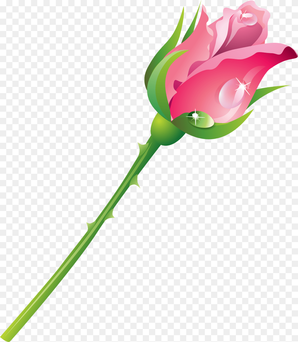 Hybrid Tea Rose, Flower, Plant, Smoke Pipe Free Transparent Png