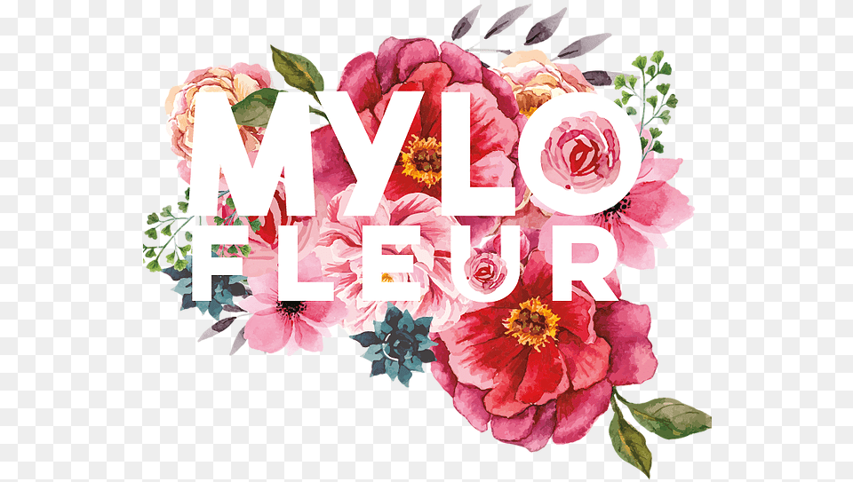 Hybrid Tea Rose, Art, Plant, Floral Design, Flower Free Png Download