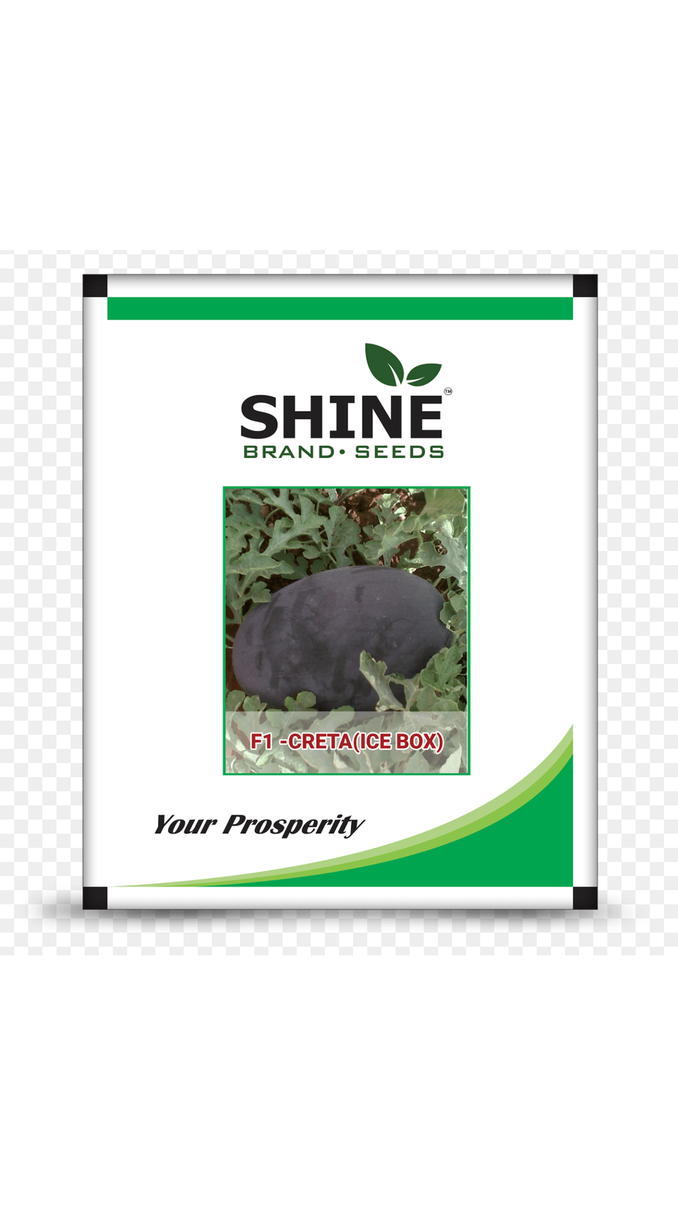 Hybrid Watermelon Seeds Shine Brand Seeds, Animal, Mammal, Mole Png Image