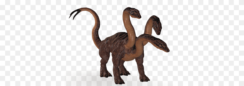 Hydra Animal, Dinosaur, Reptile Free Transparent Png