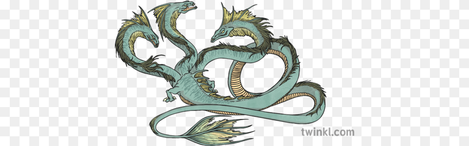 Hydra Illustration Dragon Free Transparent Png