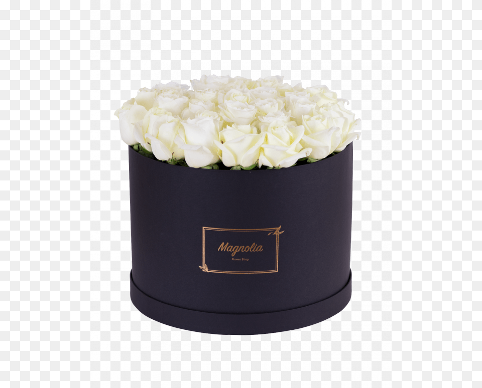Hydrangea, Rose, Plant, Flower Bouquet, Flower Arrangement Free Transparent Png
