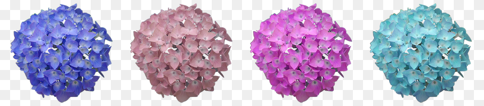 Hydrangea Mineral, Crystal, Flower, Plant Free Transparent Png