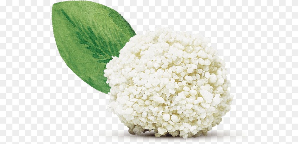 Hydrangea, Cauliflower, Food, Plant, Produce Free Png Download