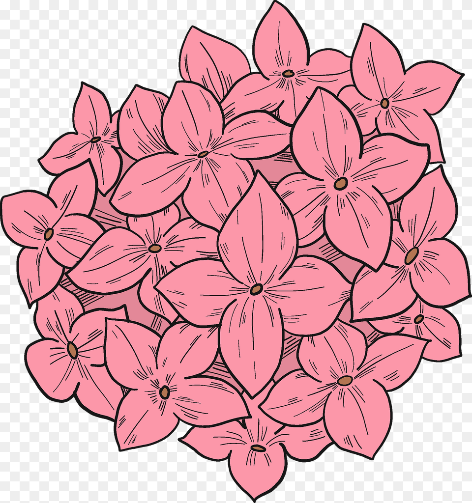 Hydrangea Clipart, Plant, Dahlia, Petal, Flower Png