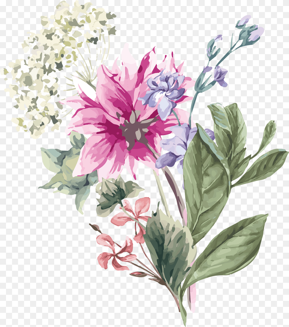 Hydrangea Flower Stock Illustration Hand Flower Illustration Clipart Transparent Background, Flower Arrangement, Flower Bouquet, Plant, Art Png Image