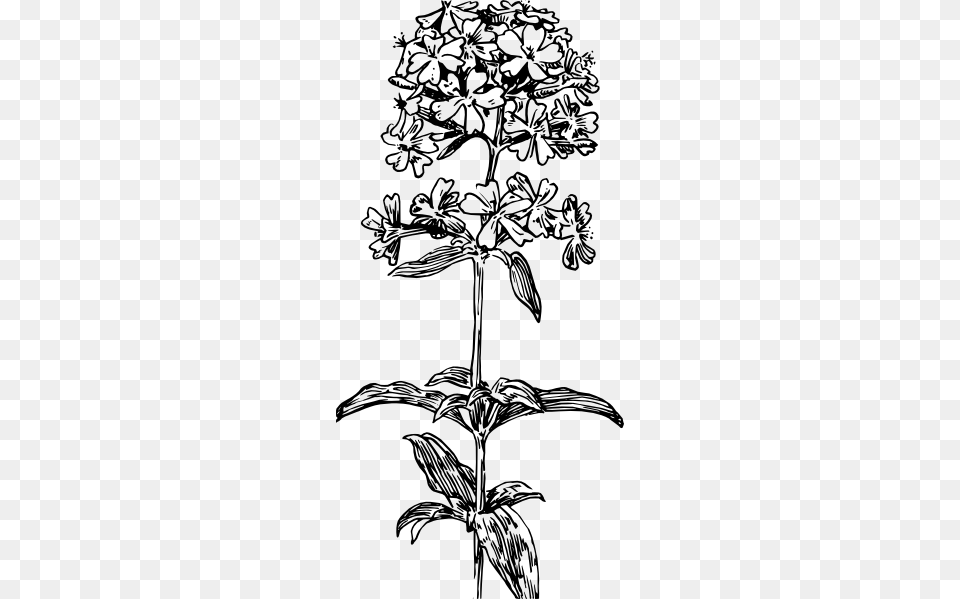 Hydrangea Flower Svg Clip Arts 288 X 599 Px, Art, Drawing, Leaf, Plant Free Png