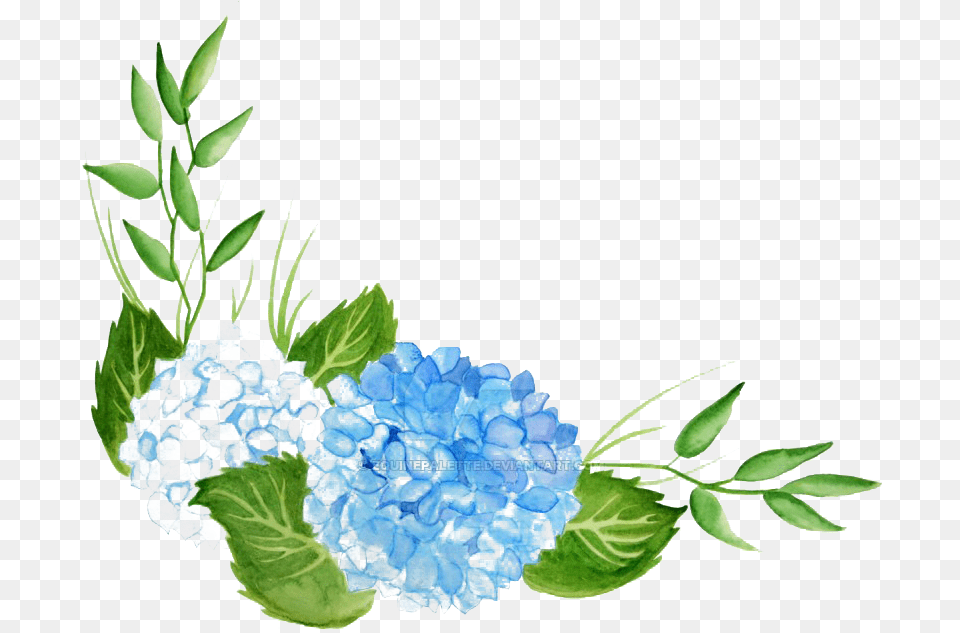 Hydrangea Hd Transparent Background Hydrangea Watercolor, Art, Floral Design, Flower, Flower Arrangement Free Png Download