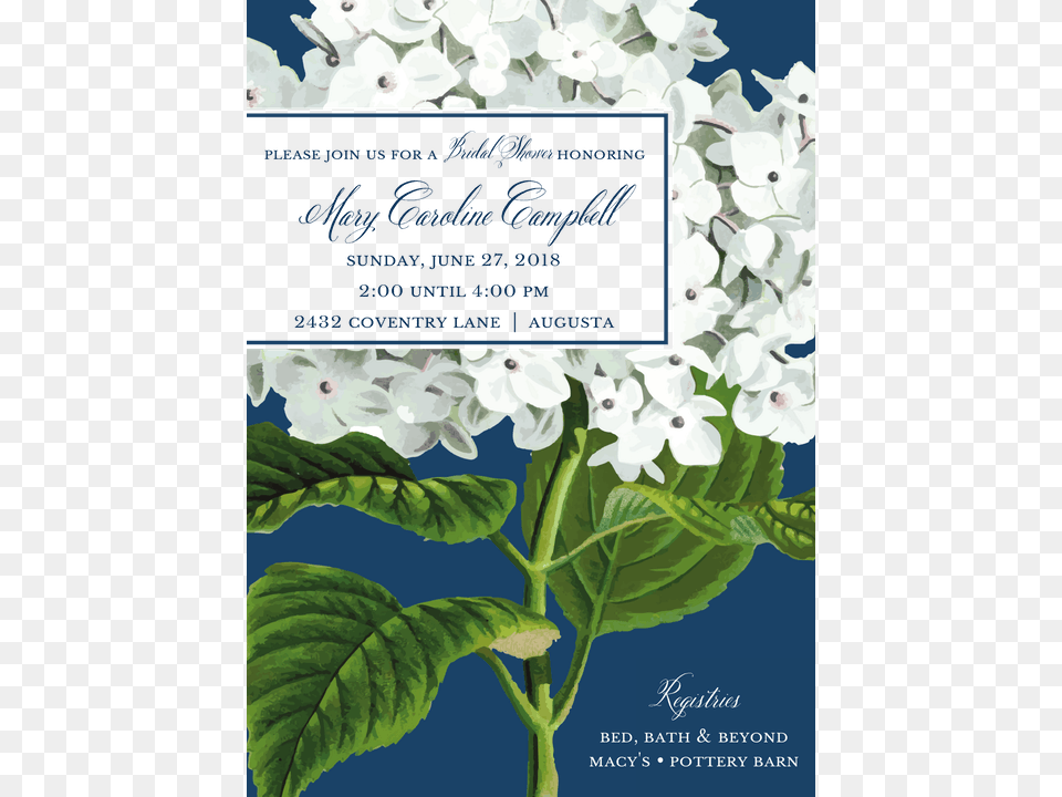 Hydrangea Navy Invitation Hydrangea, Flower, Plant, Advertisement, Poster Png Image