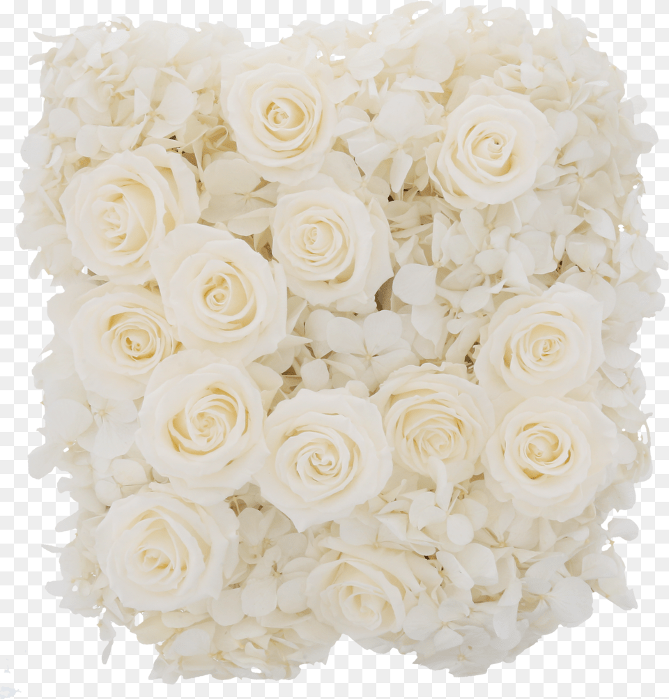 Hydrangea Rose Box Garden Roses, Gold, Powder Png Image