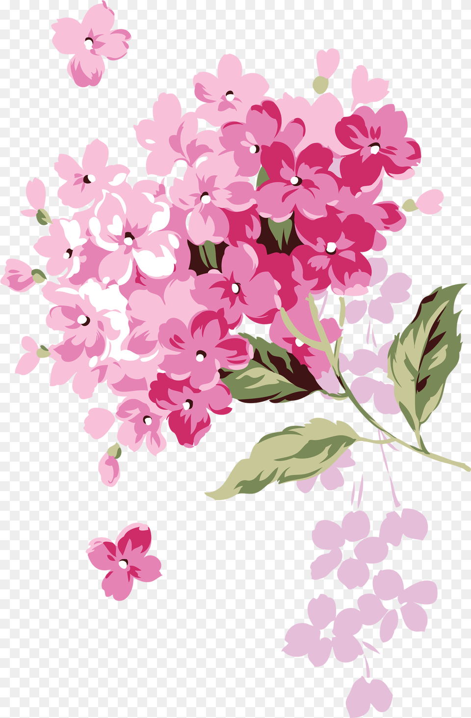 Hydrangea Adobe Illustrator Flower Design, Plant, Petal, Lilac Free Transparent Png