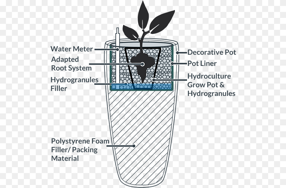 Hydroculture Low Maintenance Houseplants In A Pot Liner Indoor Planter Drainage System, Festival, Hanukkah Menorah Free Transparent Png