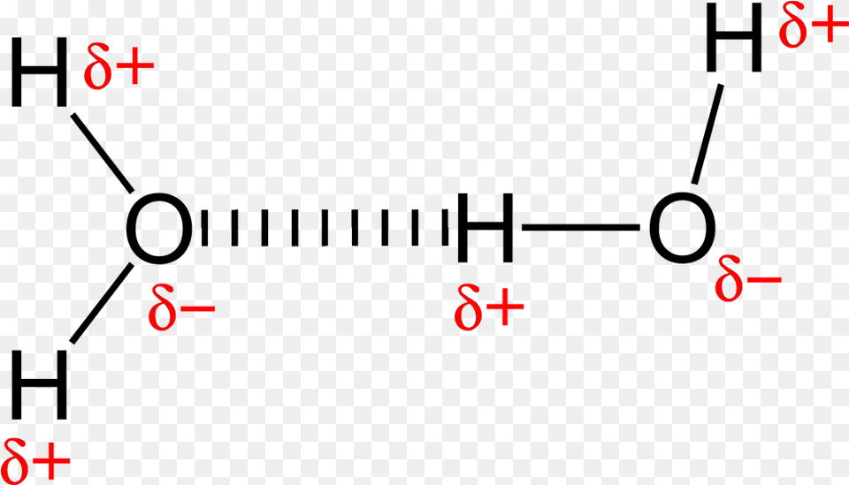 Hydrogen Bonding In Water 2d Intermolecular Forces, Text Free Png