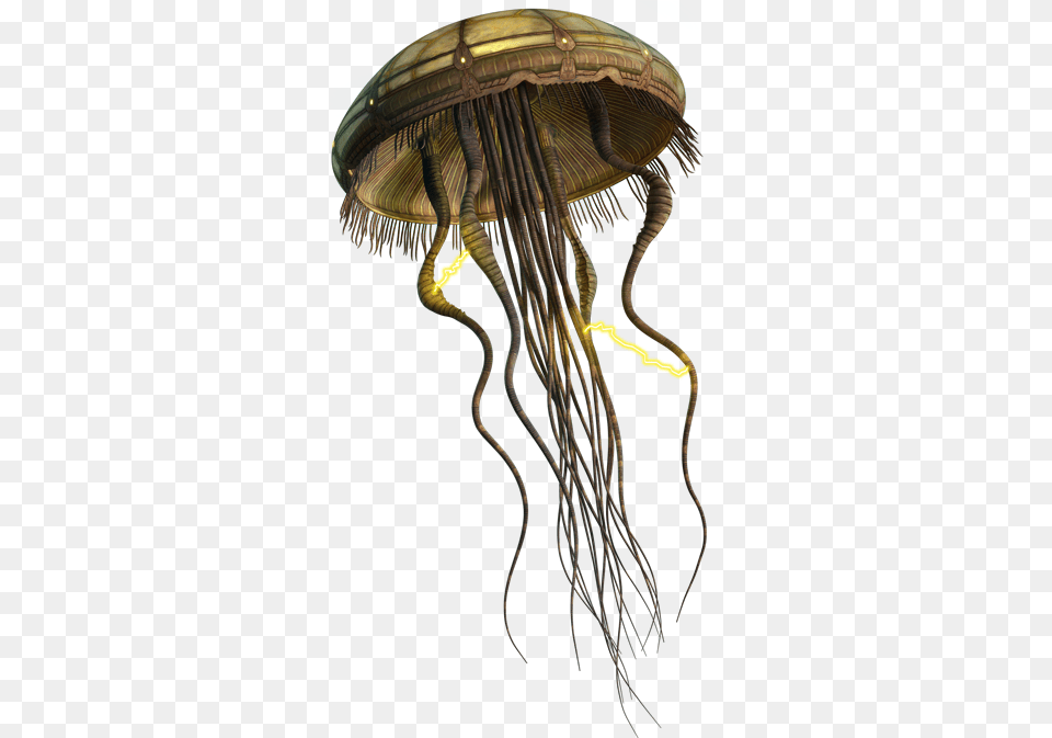 Hydroidmedusa Swe Clone Wars Hydroid Medusa, Animal, Sea Life, Invertebrate, Jellyfish Png