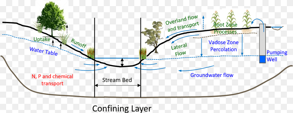 Hydrologic Processes In Rvsm, Vegetation, Plant, Plot, Plan Free Png