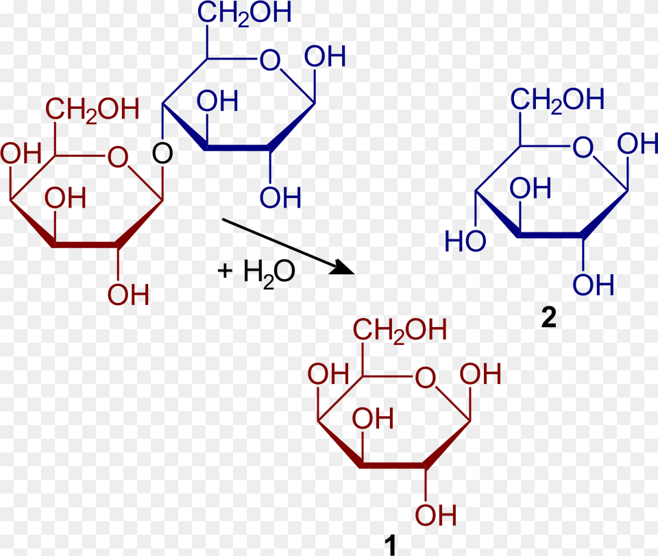 Hydrolysis Of Lactose, Scoreboard, Diagram Free Png