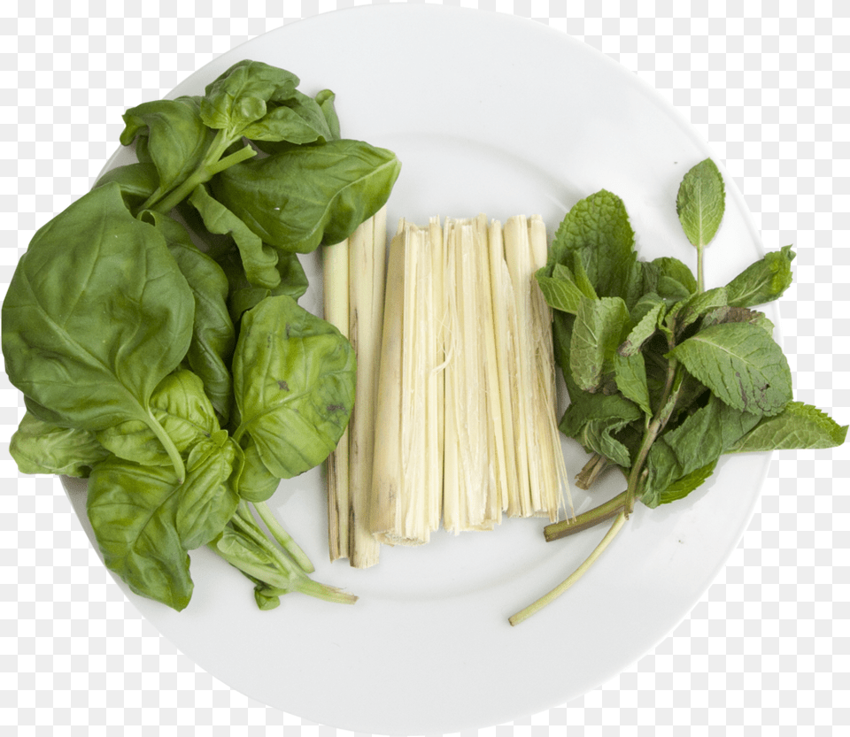 Hydroponic Cocktail Mix Spaghetti, Plate, Food, Leafy Green Vegetable, Plant Free Transparent Png