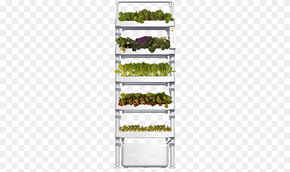 Hydroponic Vertical Farming Shelving, Herbal, Herbs, Potted Plant, Plant Png Image
