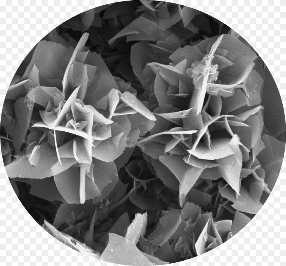 Hydrothermal Synthesis Polyimide, Photography, Sphere, Paper, Flower Png Image