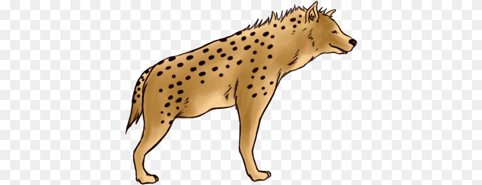 Hyena, Animal, Cheetah, Mammal, Wildlife Png