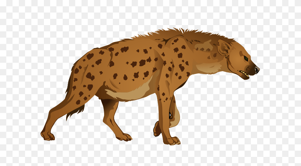 Hyena, Animal, Wildlife, Kangaroo, Mammal Png Image