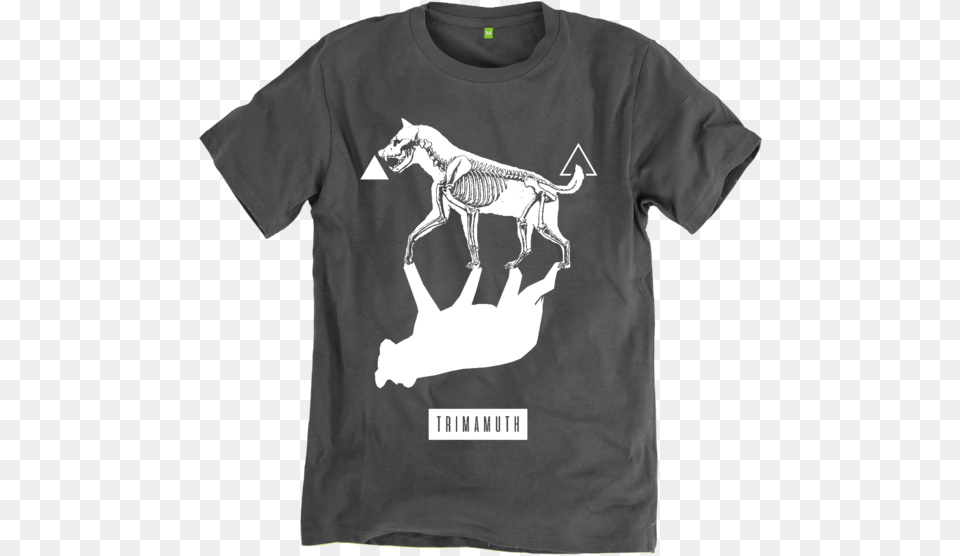 Hyena, Clothing, T-shirt, Shirt, Animal Png Image