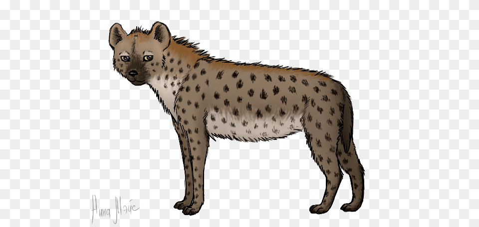 Hyena, Animal, Wildlife, Mammal, Panther Free Png Download