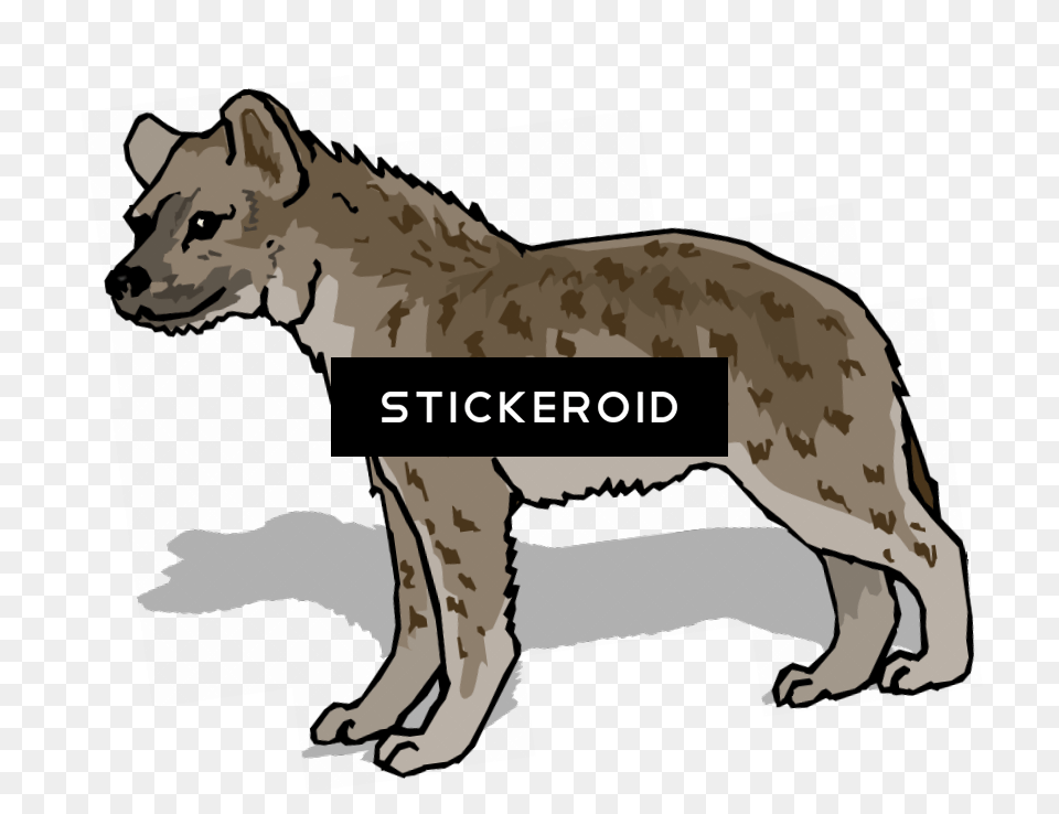 Hyena, Animal, Adult, Male, Man Free Png Download