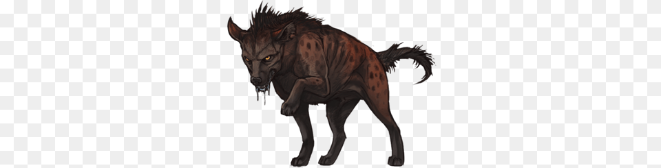 Hyena, Animal, Person, Wildlife Png