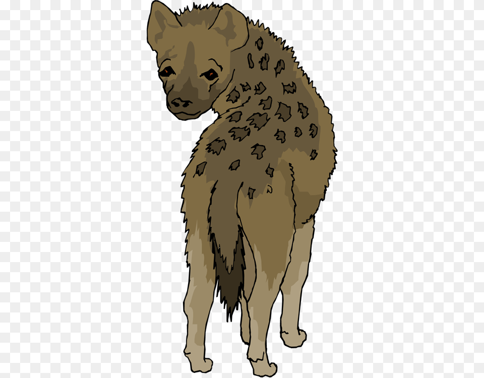 Hyena, Baby, Person, Face, Head Png