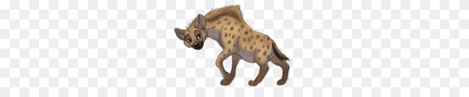 Hyena, Animal, Wildlife, Kangaroo, Mammal Png Image