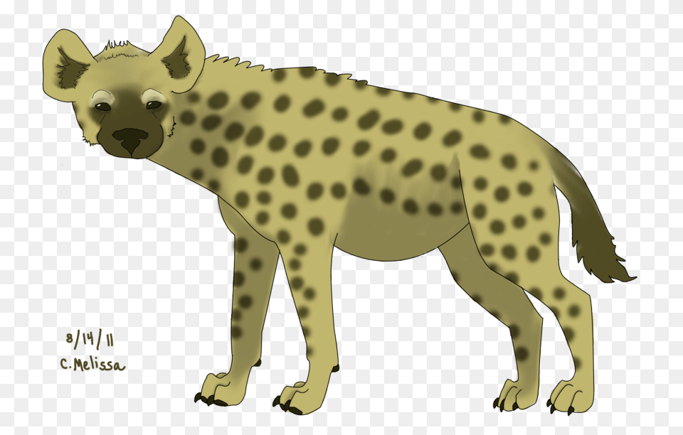 Hyena, Animal, Wildlife, Bear, Mammal Png Image