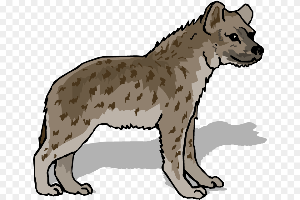 Hyena Art Photo, Animal, Wildlife, Person Free Png