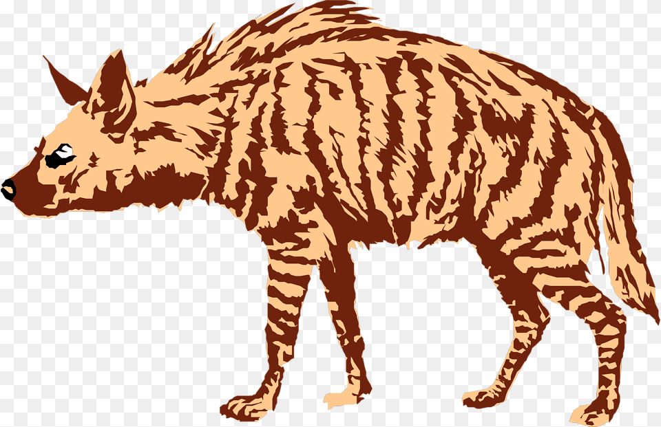 Hyena Art Pic Boar, Animal, Mammal, Tiger, Wildlife Png Image