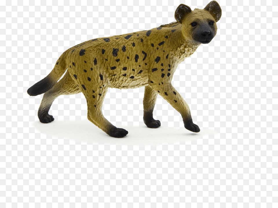 Hyena Background Animal Planet Toy Hyena, Kangaroo, Mammal, Wildlife Png