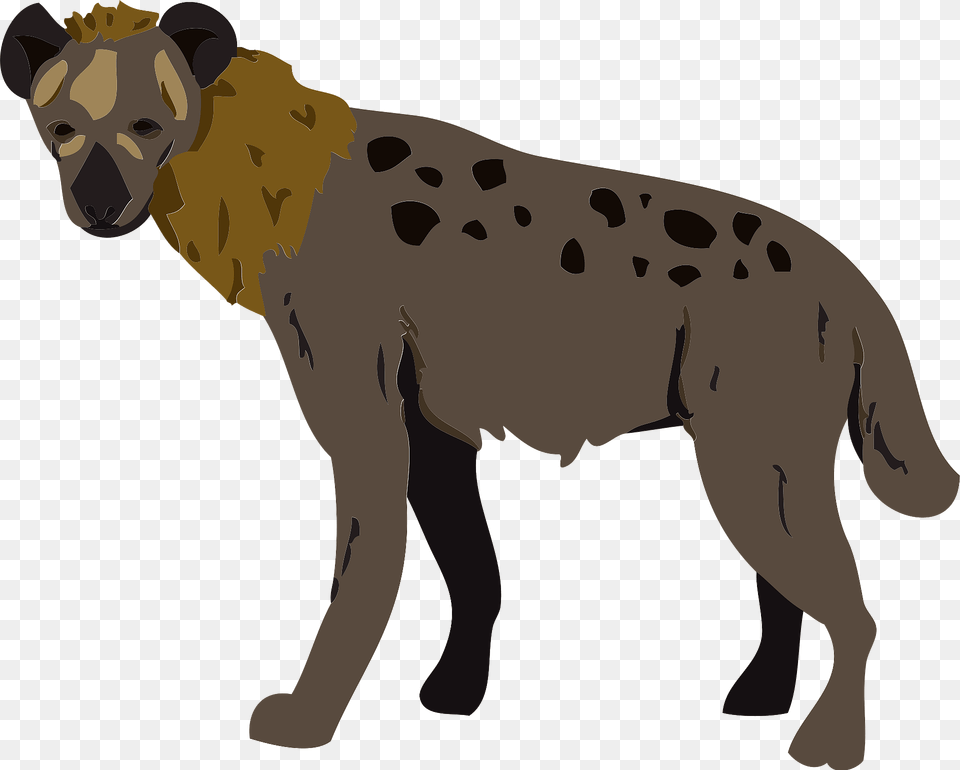 Hyena Clipart, Animal, Wildlife, Bear, Mammal Free Transparent Png