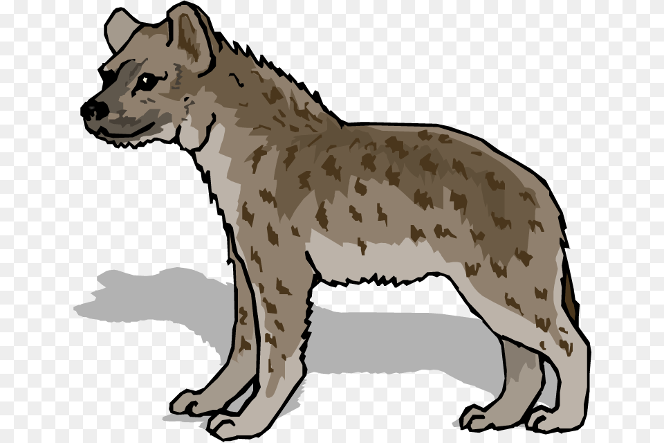 Hyena Clipart, Animal, Baby, Person, Wildlife Free Png Download
