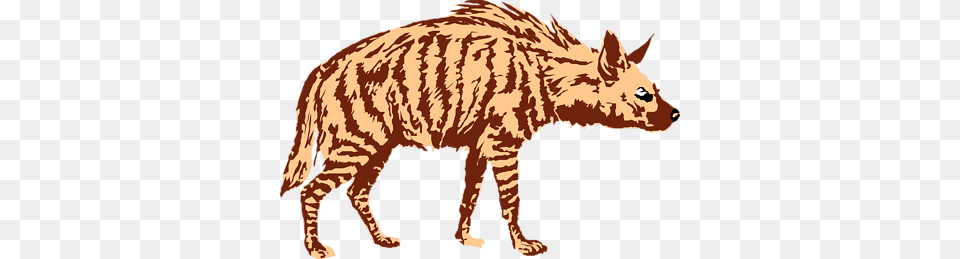 Hyena Clipart, Animal, Wildlife, Mammal, Zebra Free Transparent Png