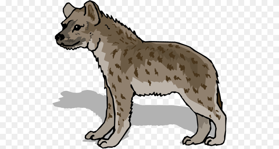 Hyena Clipart Nice Clip Art, Person, Animal, Wildlife, Face Png